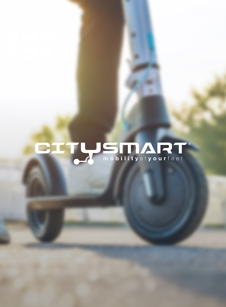 Mobilità Elettrica
